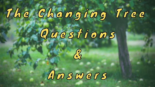 The Changing Tree Questions & Answers