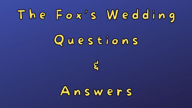 The Fox’s Wedding Questions & Answers