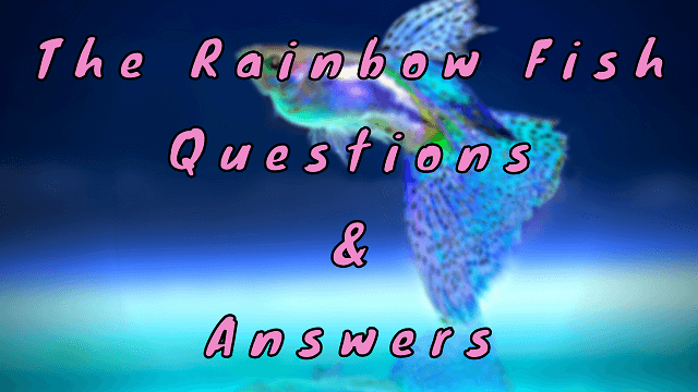 The Rainbow Fish Questions & Answers