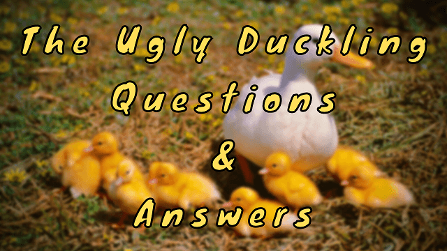 The Ugly Duckling Questions & Answers