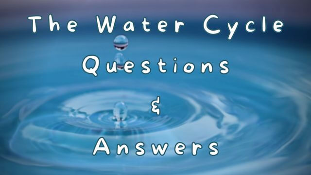 The Water Cycle Questions & Answers