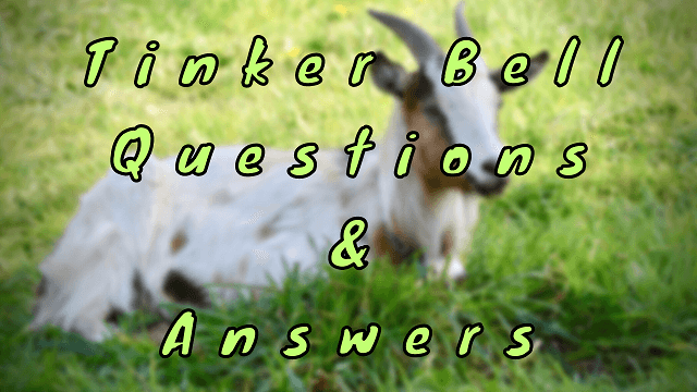 Tinker Bell Questions & Answers