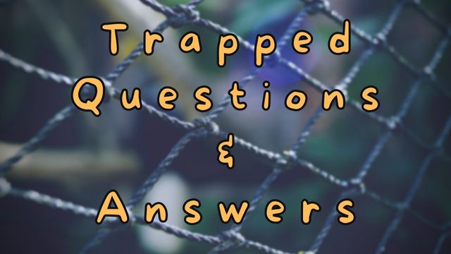 Trapped Questions & Answers