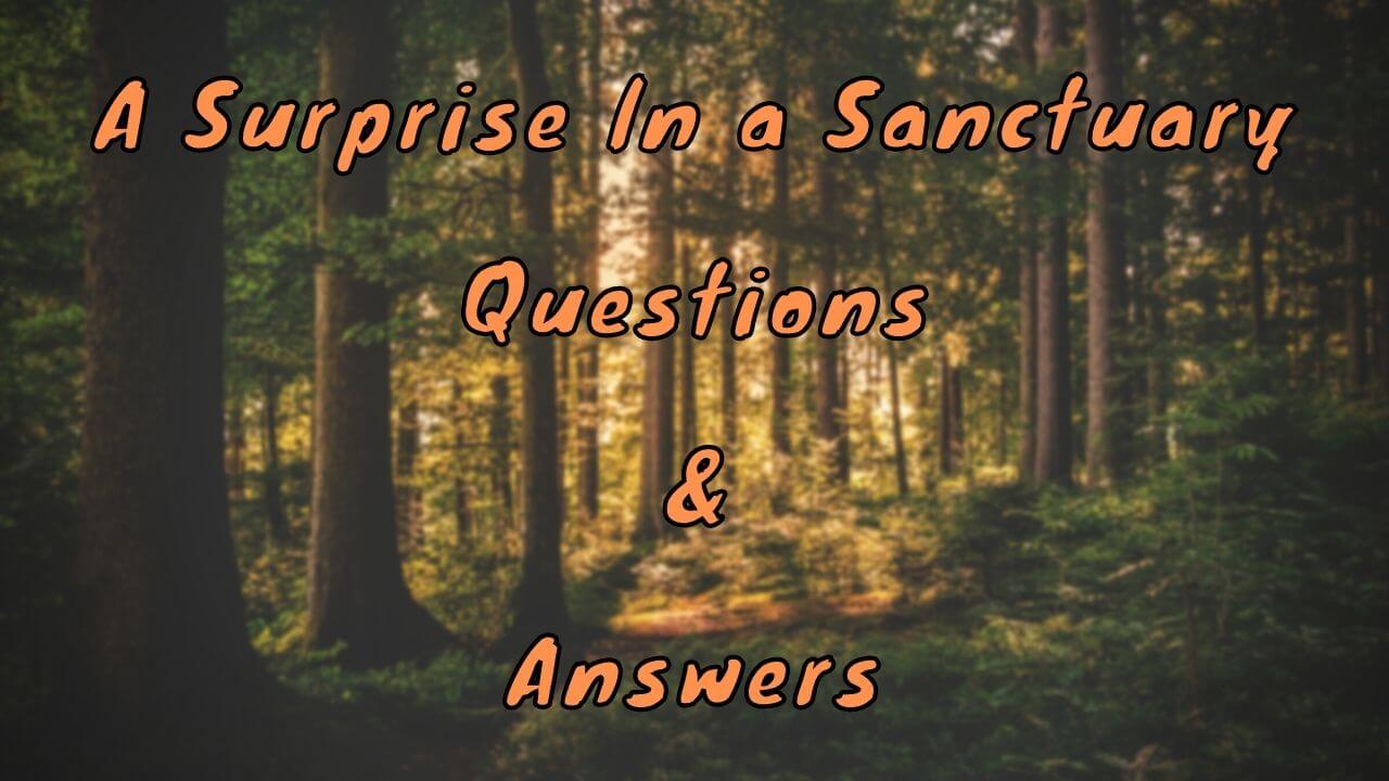 A Surprise ln a Sanctuary Questions & Answers