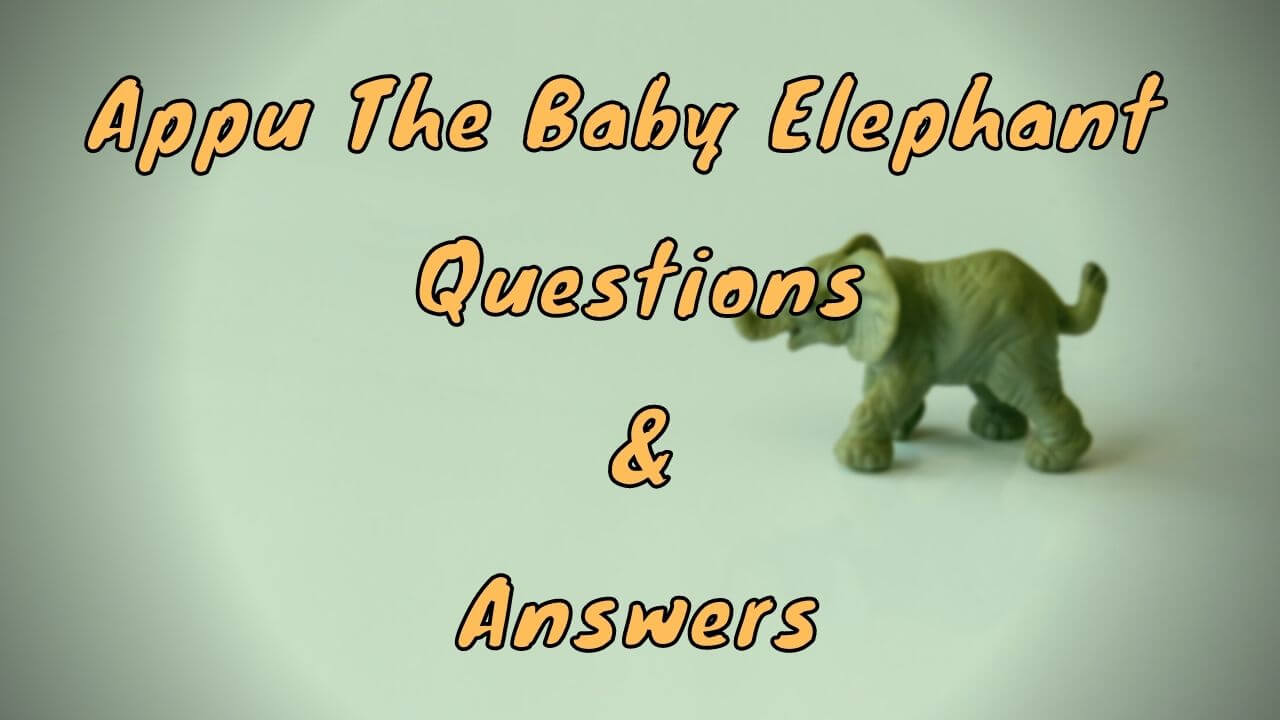 Appu The Baby Elephant Questions & Answers