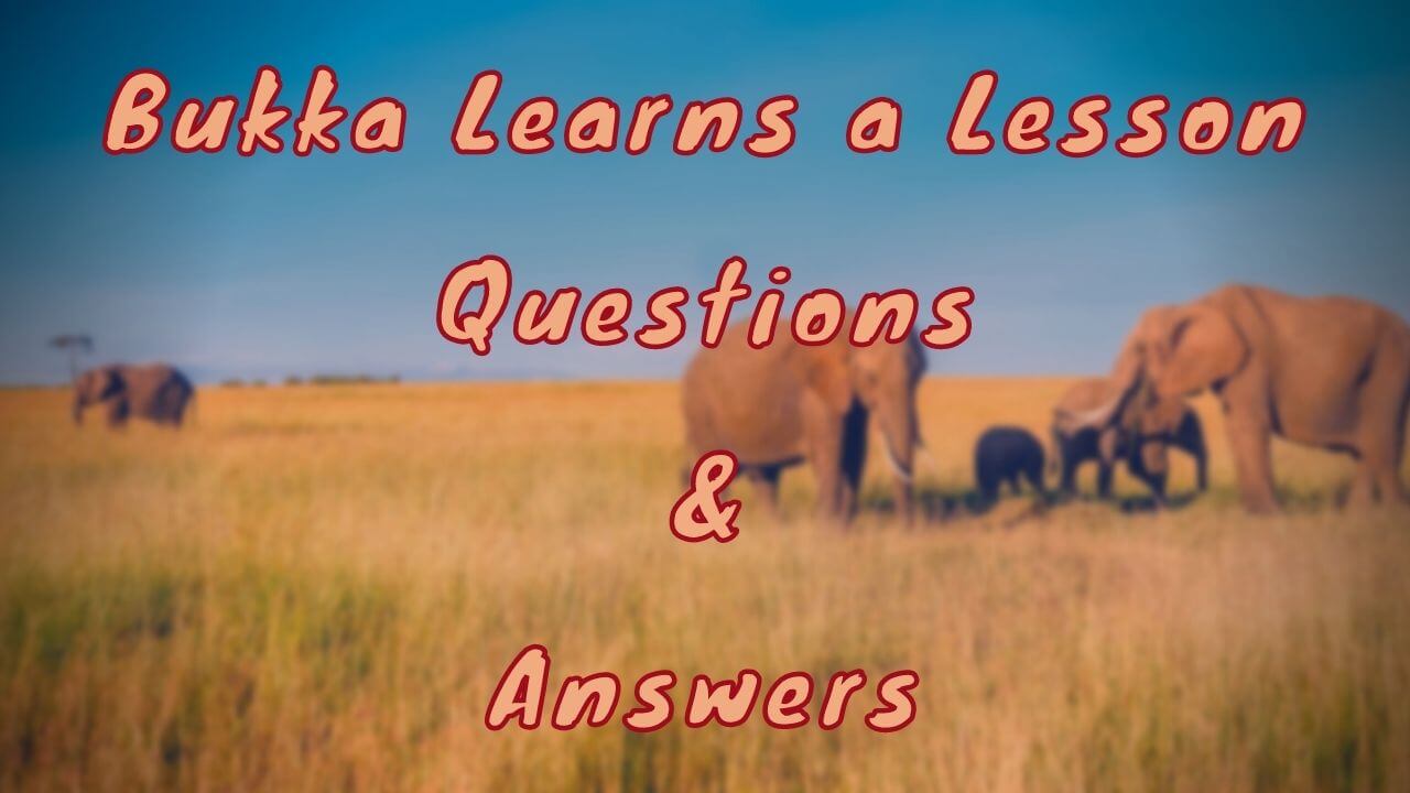 Bukka Learns a Lesson Questions & Answers