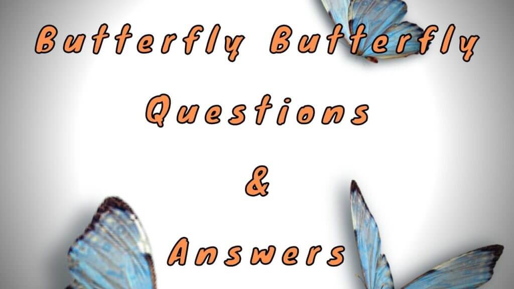 Butterfly Butterfly Questions & Answers WittyChimp