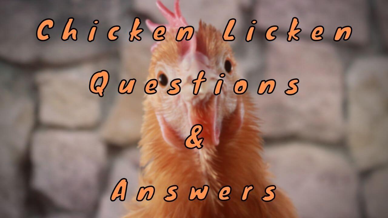 Chicken Licken Questions & Answers