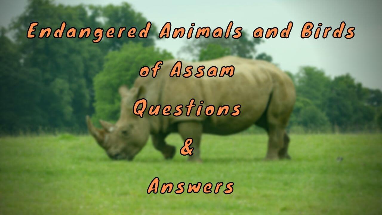 Endangered Animals and Birds of Assam Questions & Answers