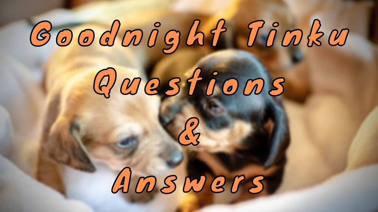 Goodnight Tinku Questions & Answers