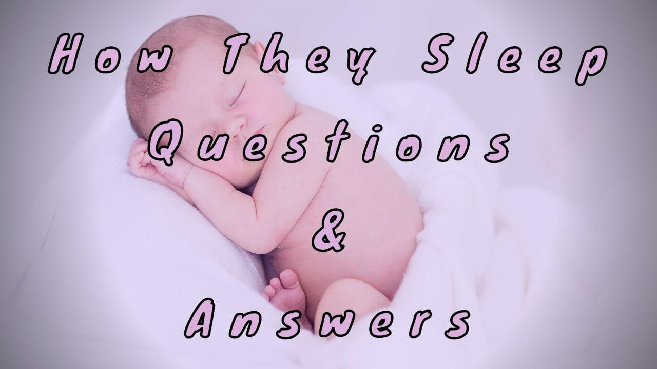 How They Sleep Questions & Answers