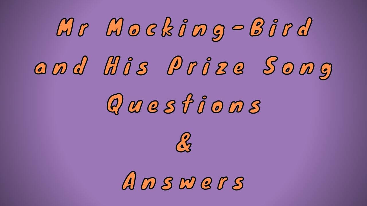 Mr Mocking-Bird and His Prize Song Questions & Answers