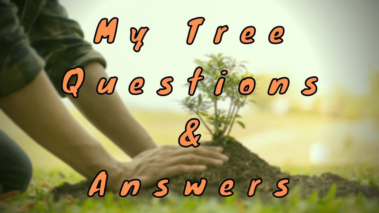 My Tree Questions & Answers