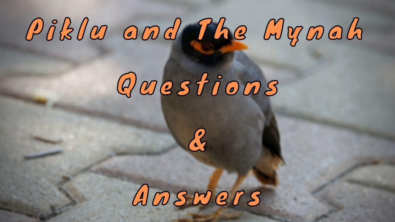 Piklu and The Mynah Questions & Answers