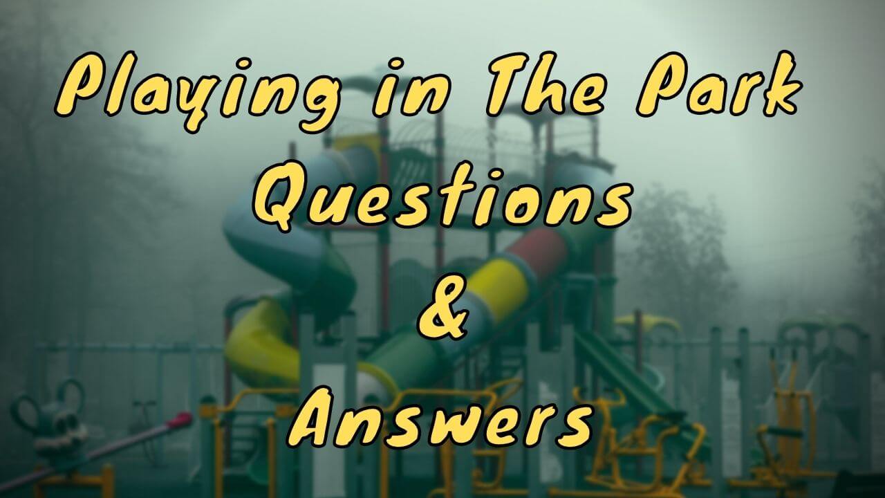 Playing in The Park Questions & Answers