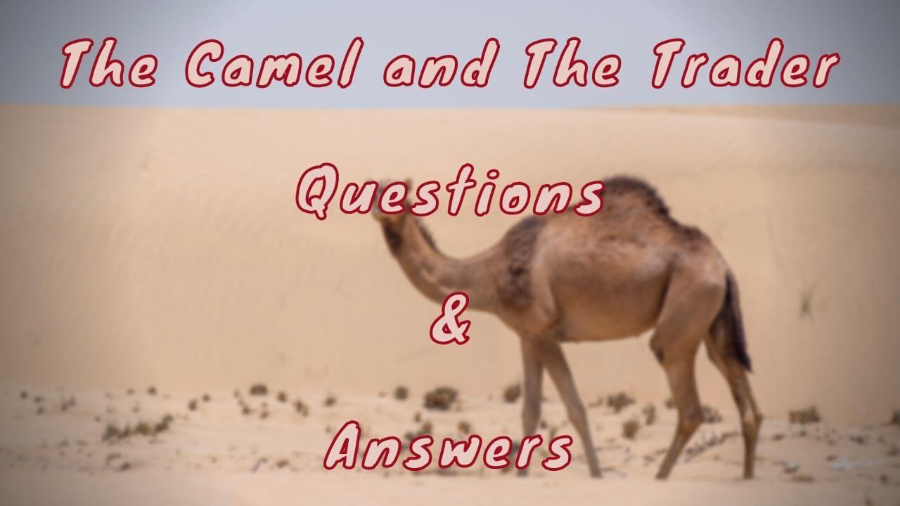 The Camel and The Trader Questions & Answers