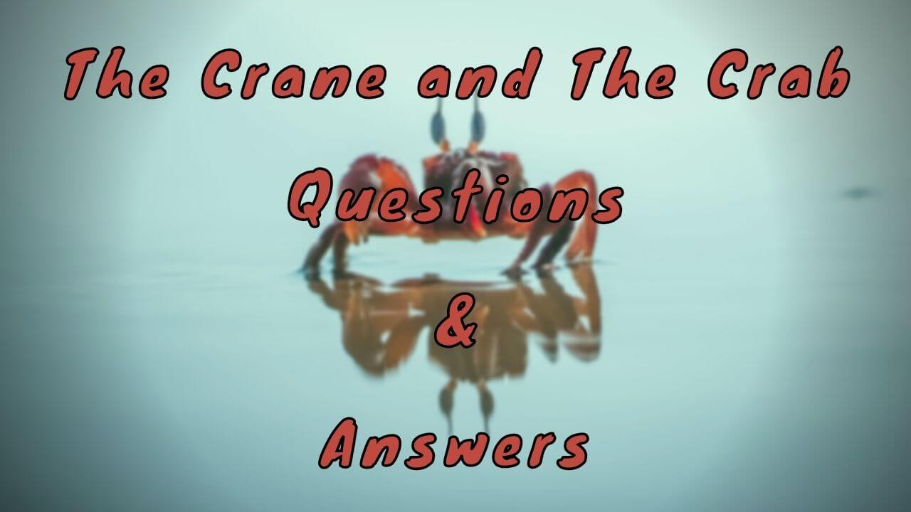 The Crane and The Crab Questions & Answers