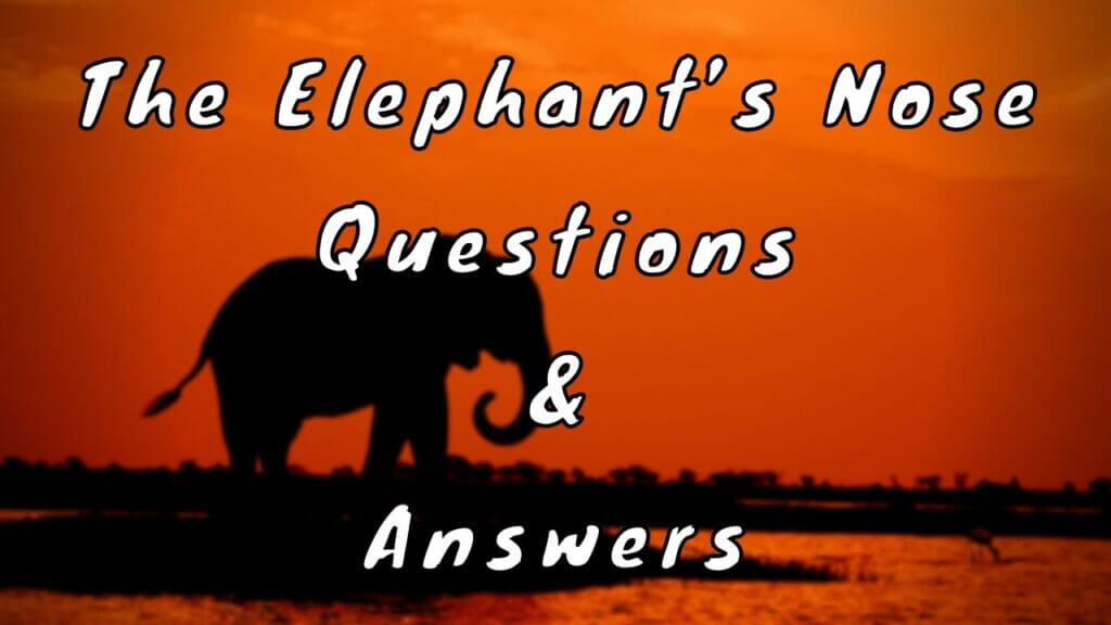 The Elephant’s Nose Questions & Answers WittyChimp