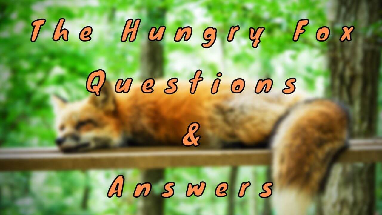 The Hungry Fox Questions & Answers