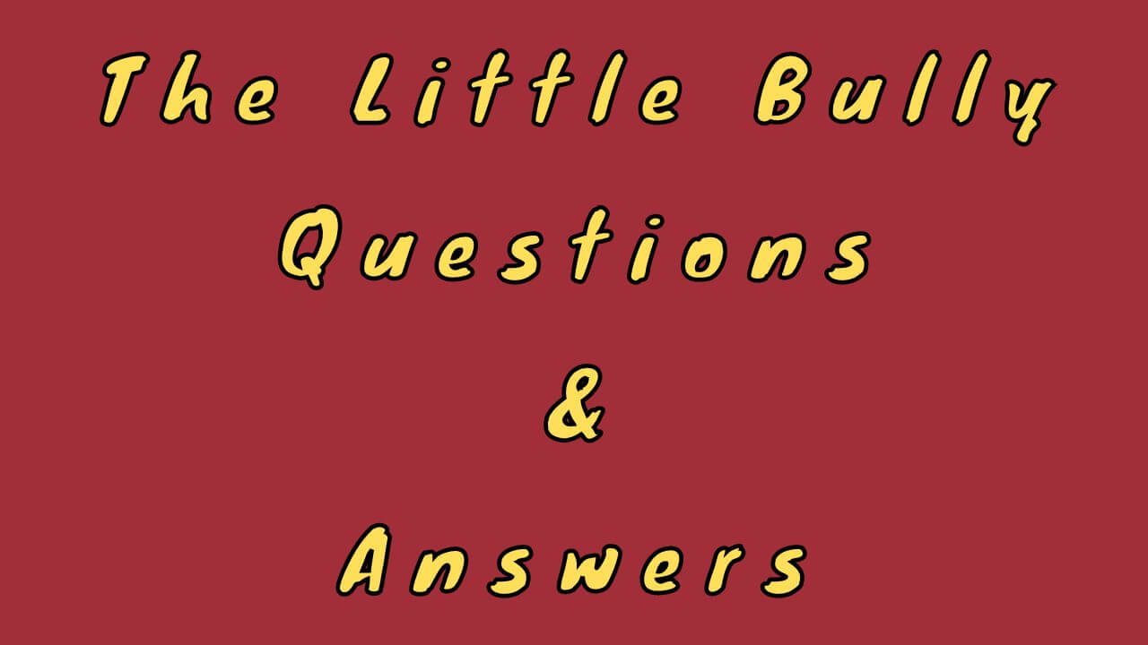 The Little Bully Questions & Answers