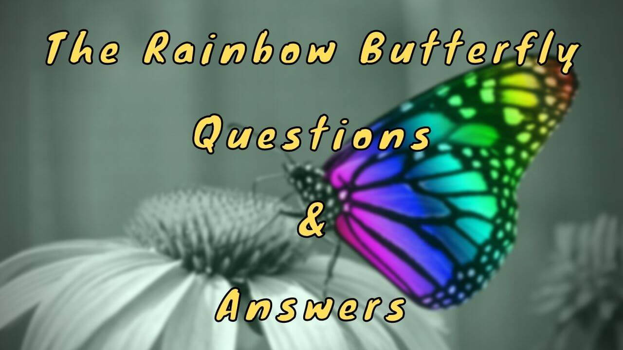 The Rainbow Butterfly Questions & Answers