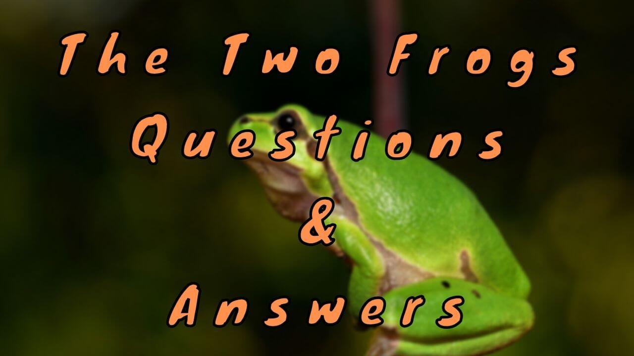 The Two Frogs Questions & Answers