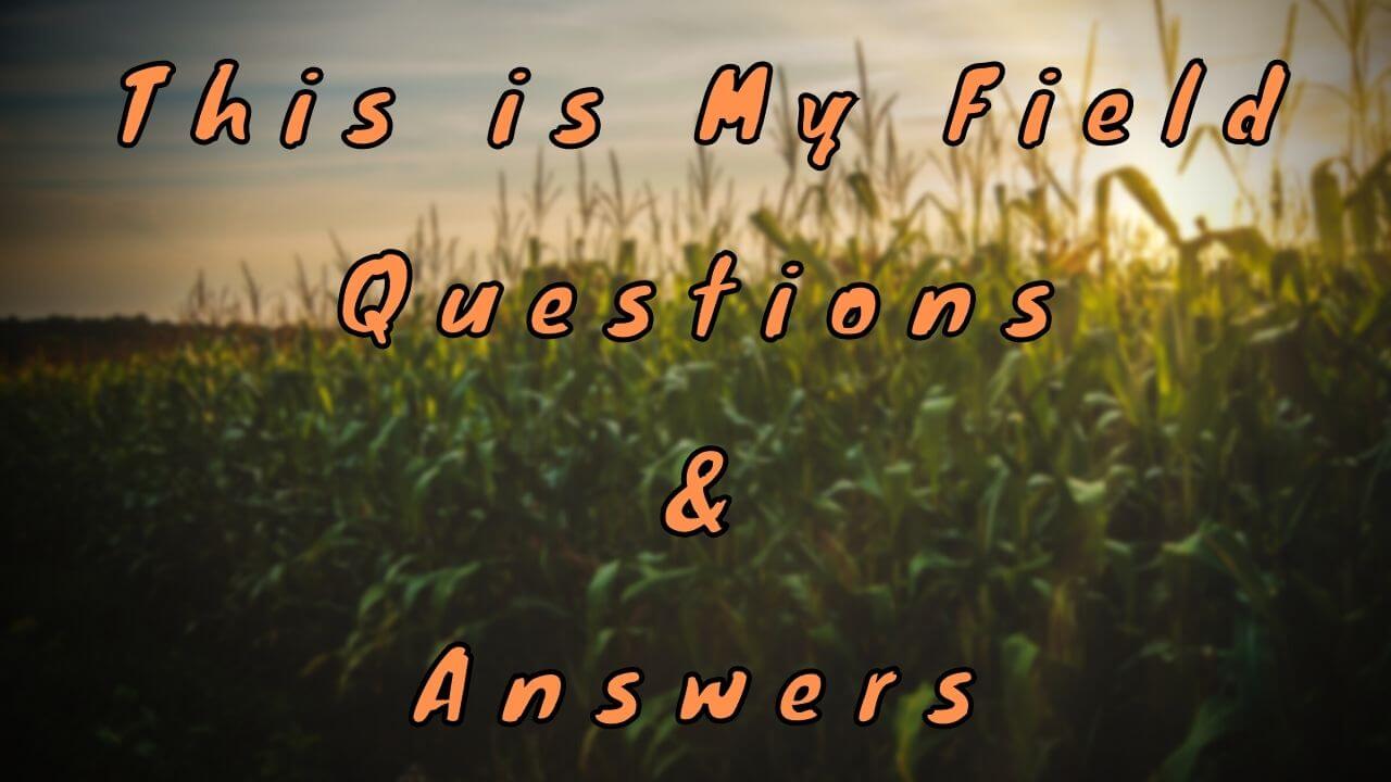 This is My Field Questions & Answers