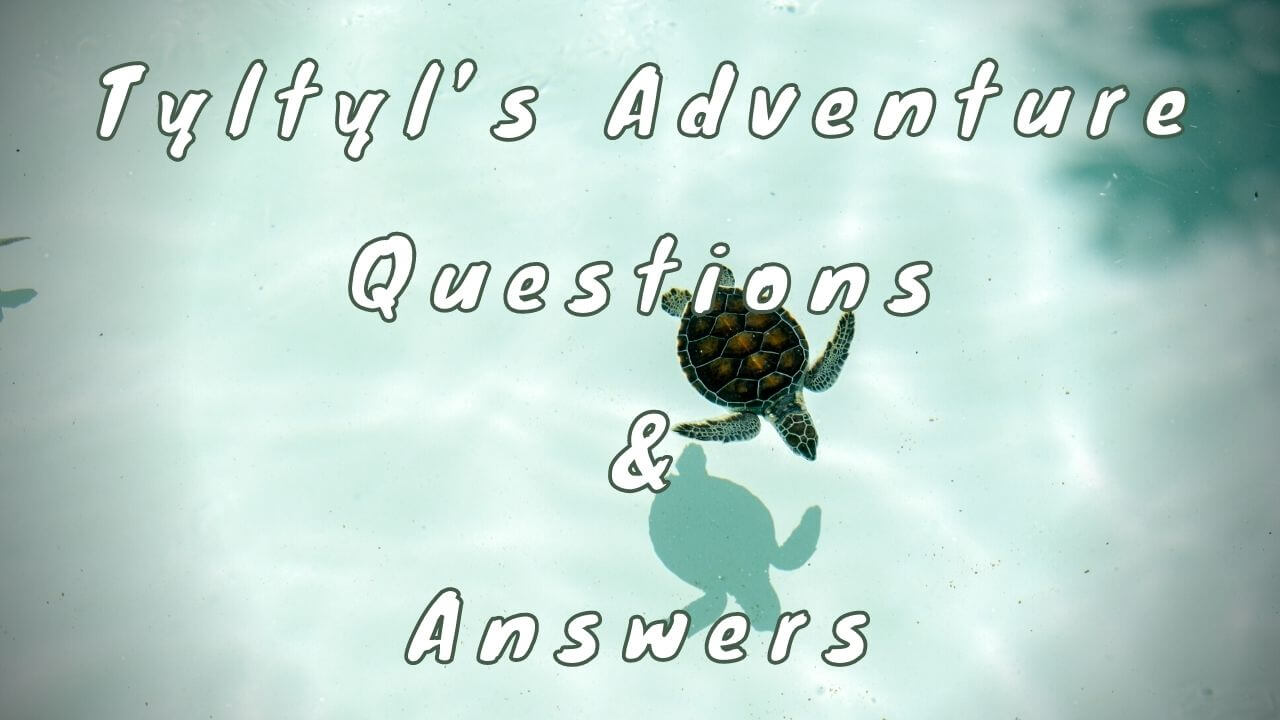 Tyltyl’s Adventure Questions & Answers