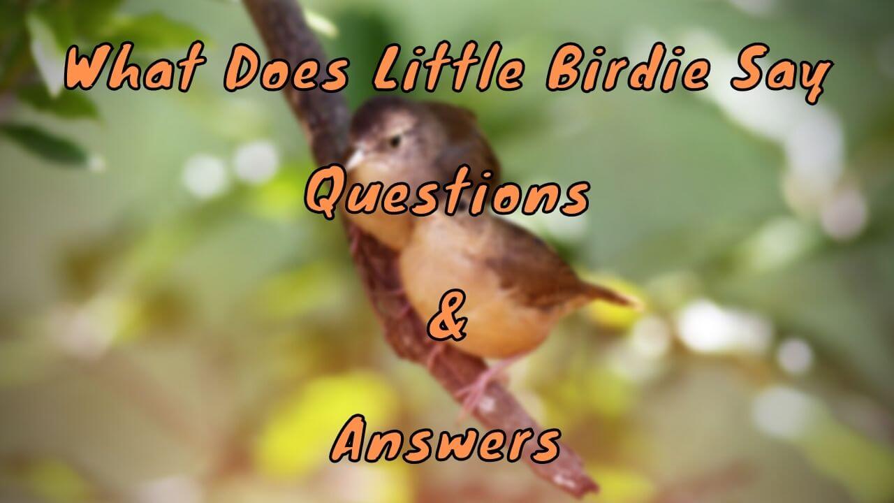 What Does Little Birdie Say Questions & Answers