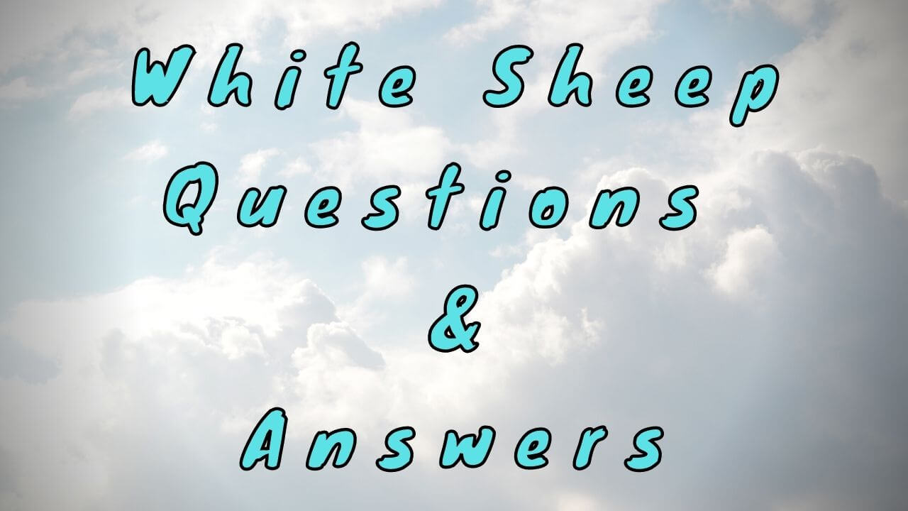 White Sheep Questions & Answers