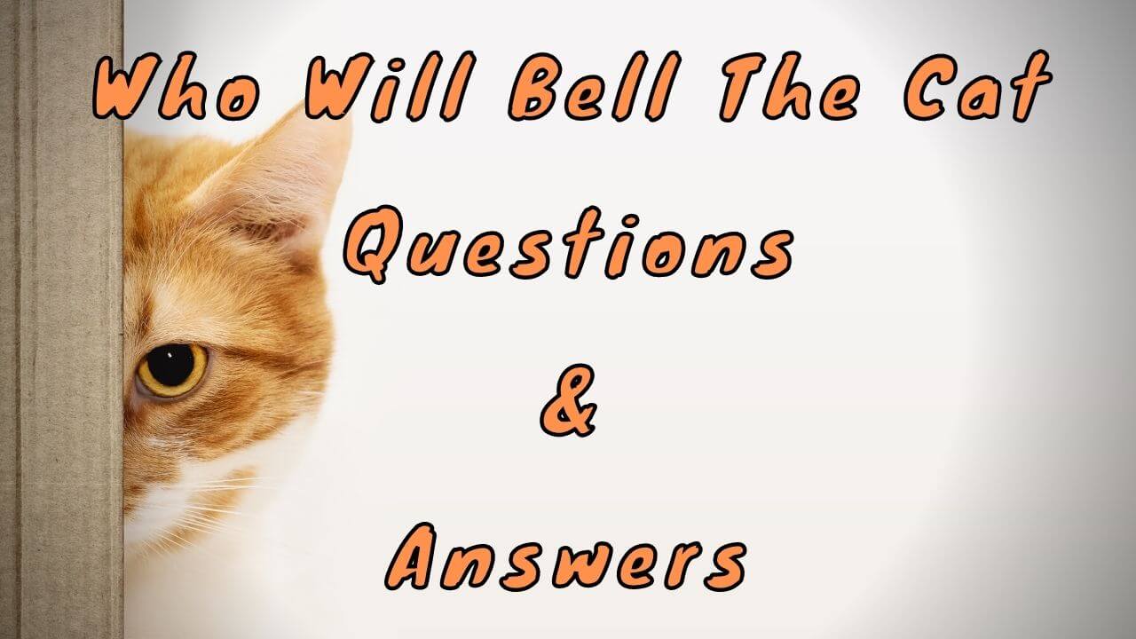Who Will Bell the Cat Questions & Answers