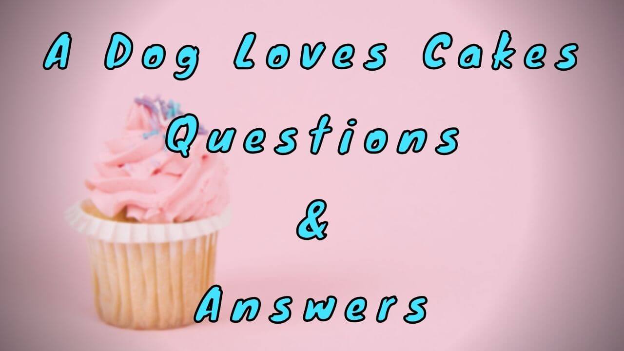 A Dog Loves Cakes Questions & Answers