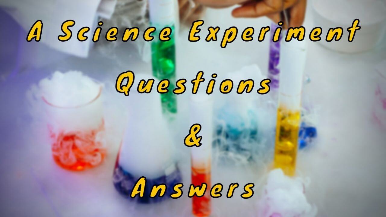 A Science Experiment Questions & Answers