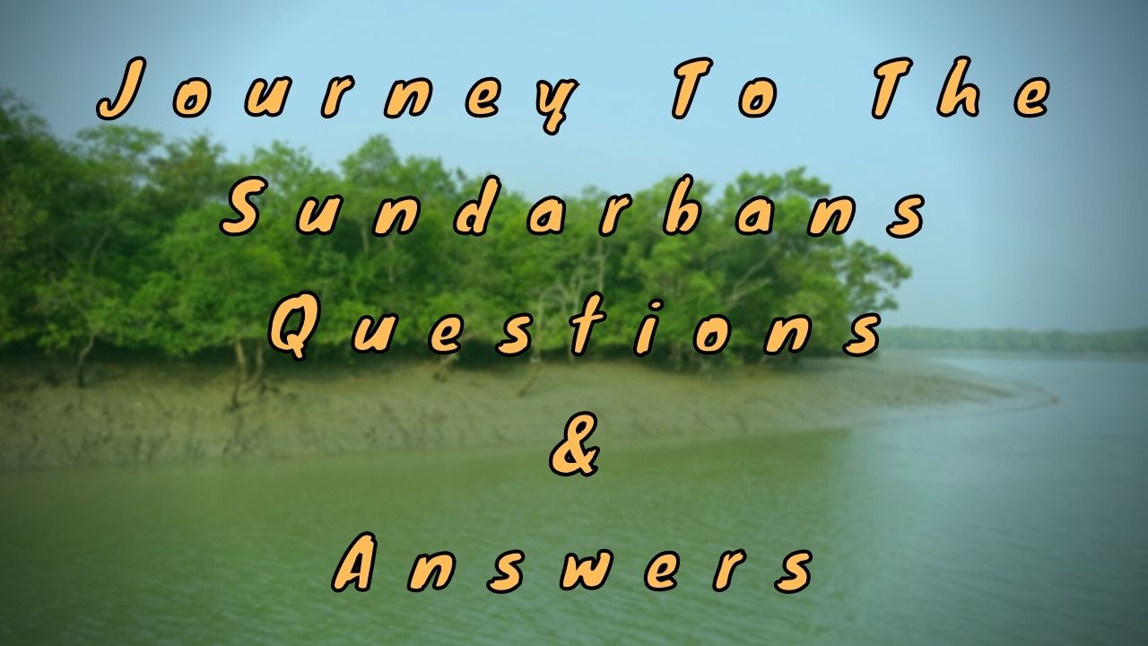 Journey To The Sundarbans Questions & Answers