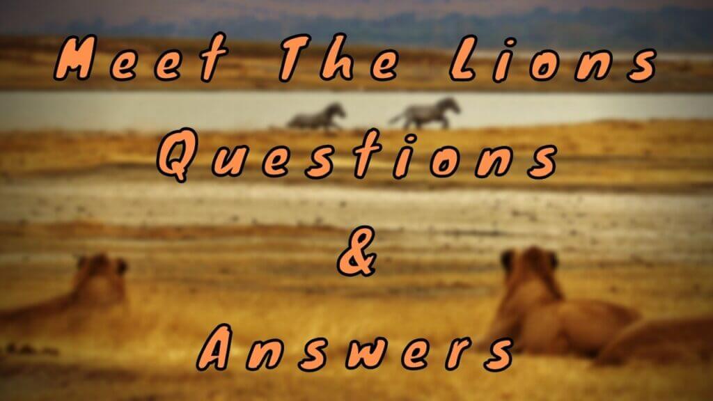 Meet The Lions Questions & Answers WittyChimp