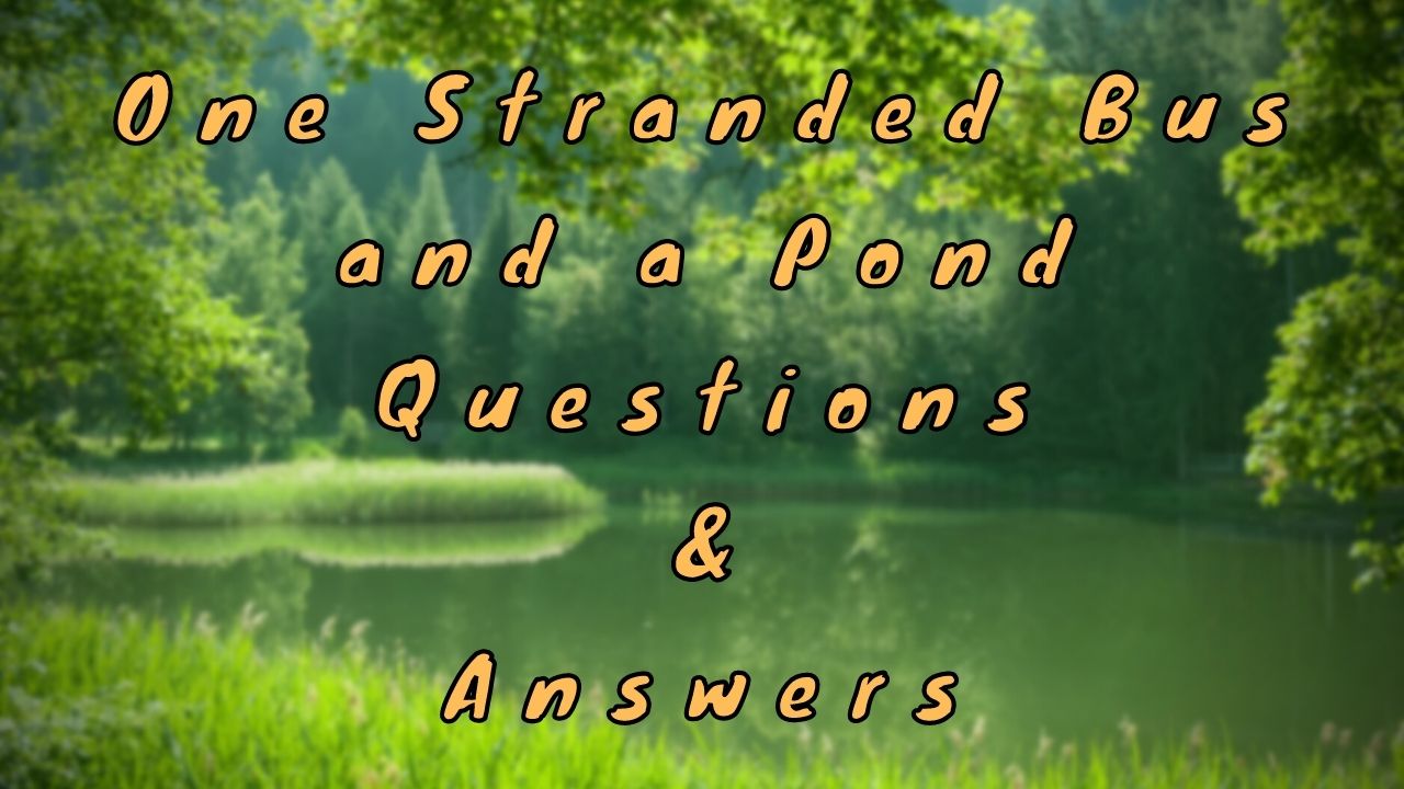 One Stranded Bus and a Pond Questions & Answers
