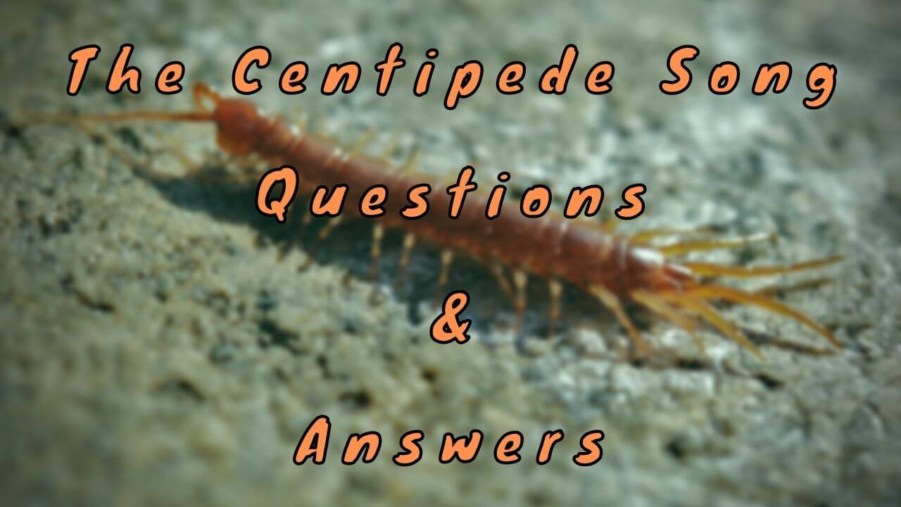 The Centipede Song Questions & Answers