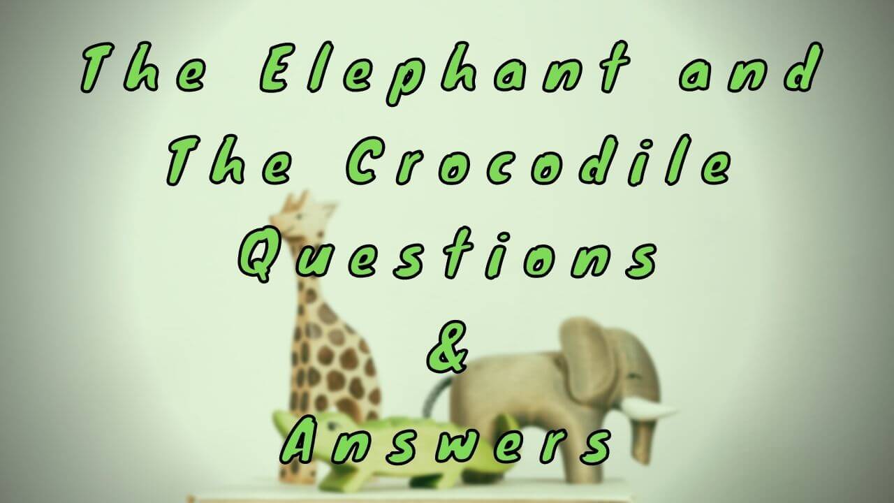 The Elephant and The Crocodile Questions & Answers