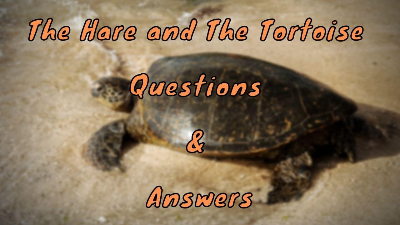 The Hare and The Tortoise Questions & Answers
