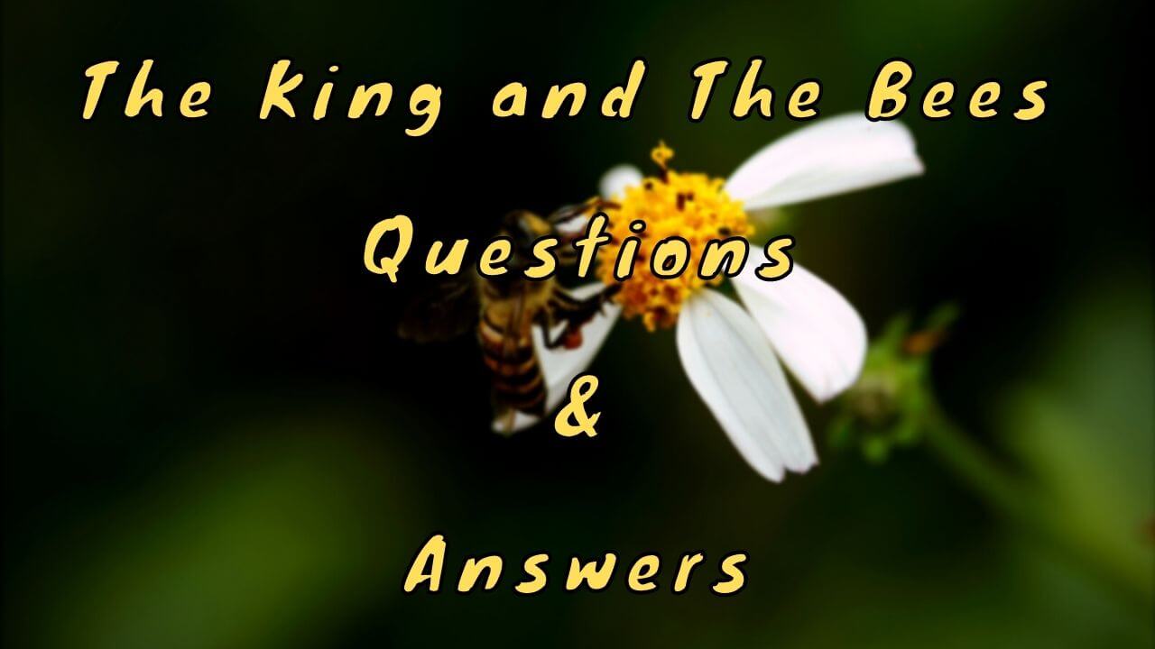 english class2 and 3: Class 3 The king and the bees