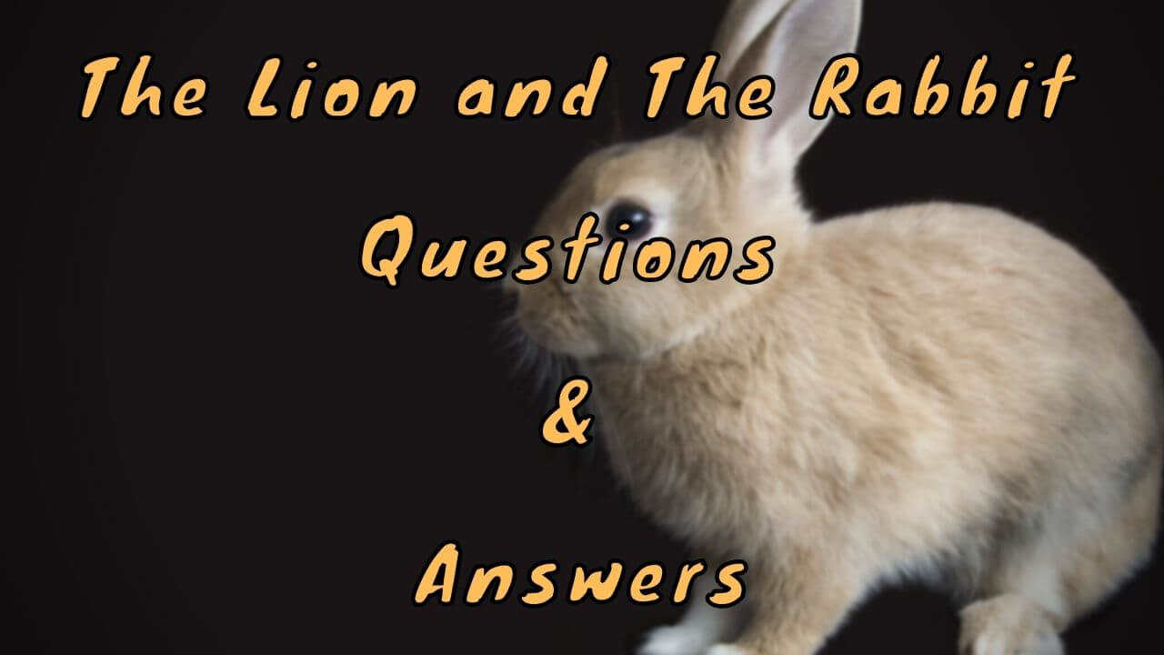 The Lion and The Rabbit Questions & Answers