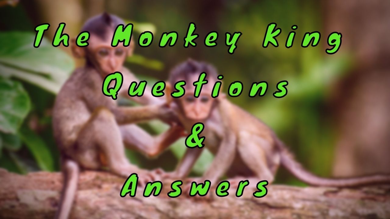 The Monkey King Questions & Answers