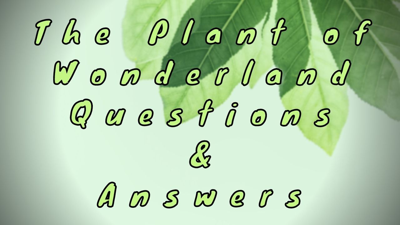 The Plant of Wonderland Questions & Answers
