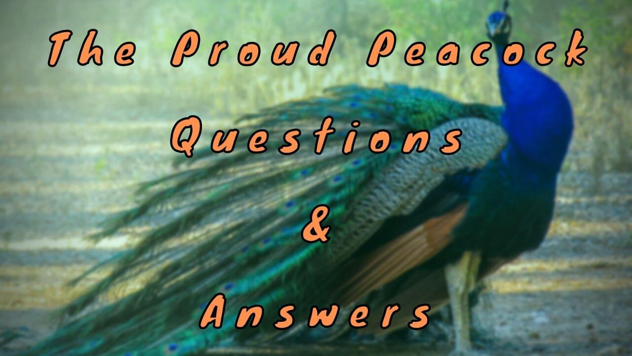 The Proud Peacock Questions & Answers