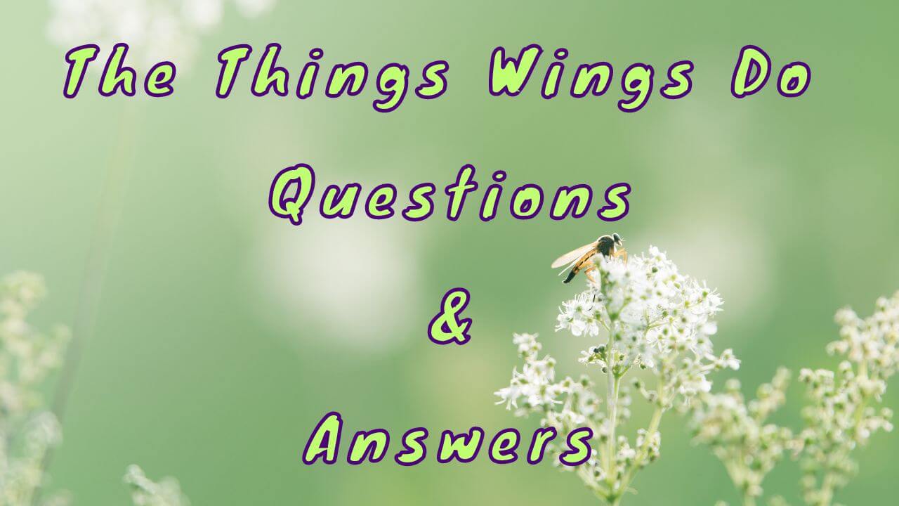 The Things Wings Do Questions & Answers