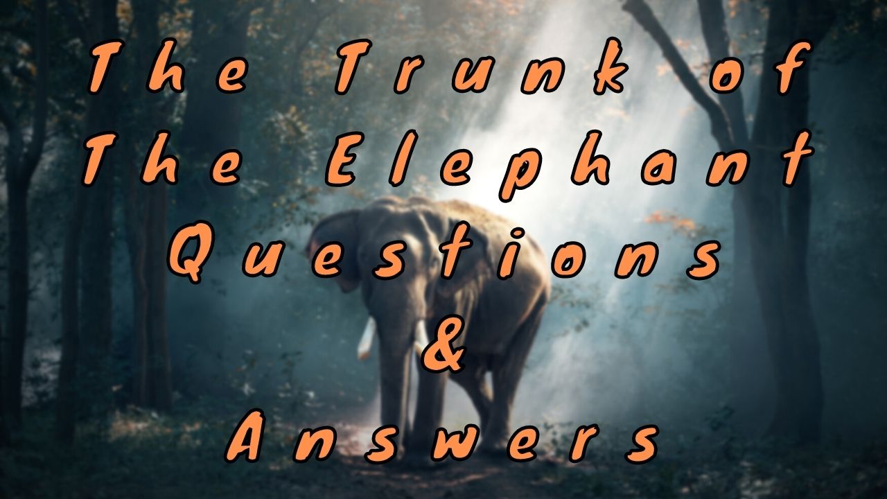 The Trunk of The Elephant Questions & Answers