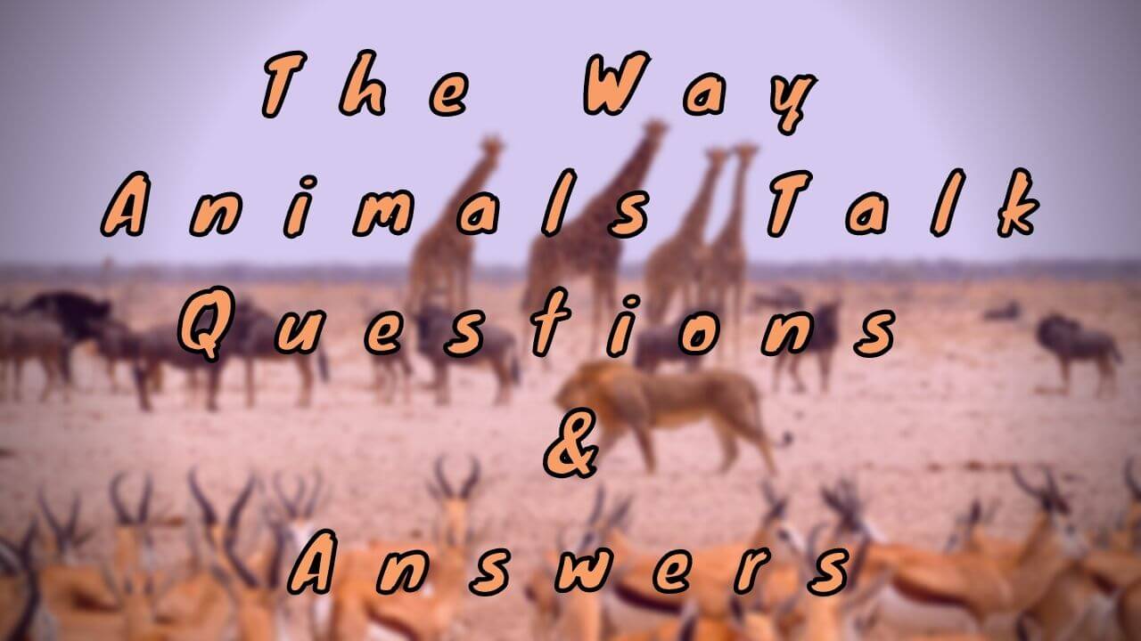The Way Animals Talk Questions & Answers