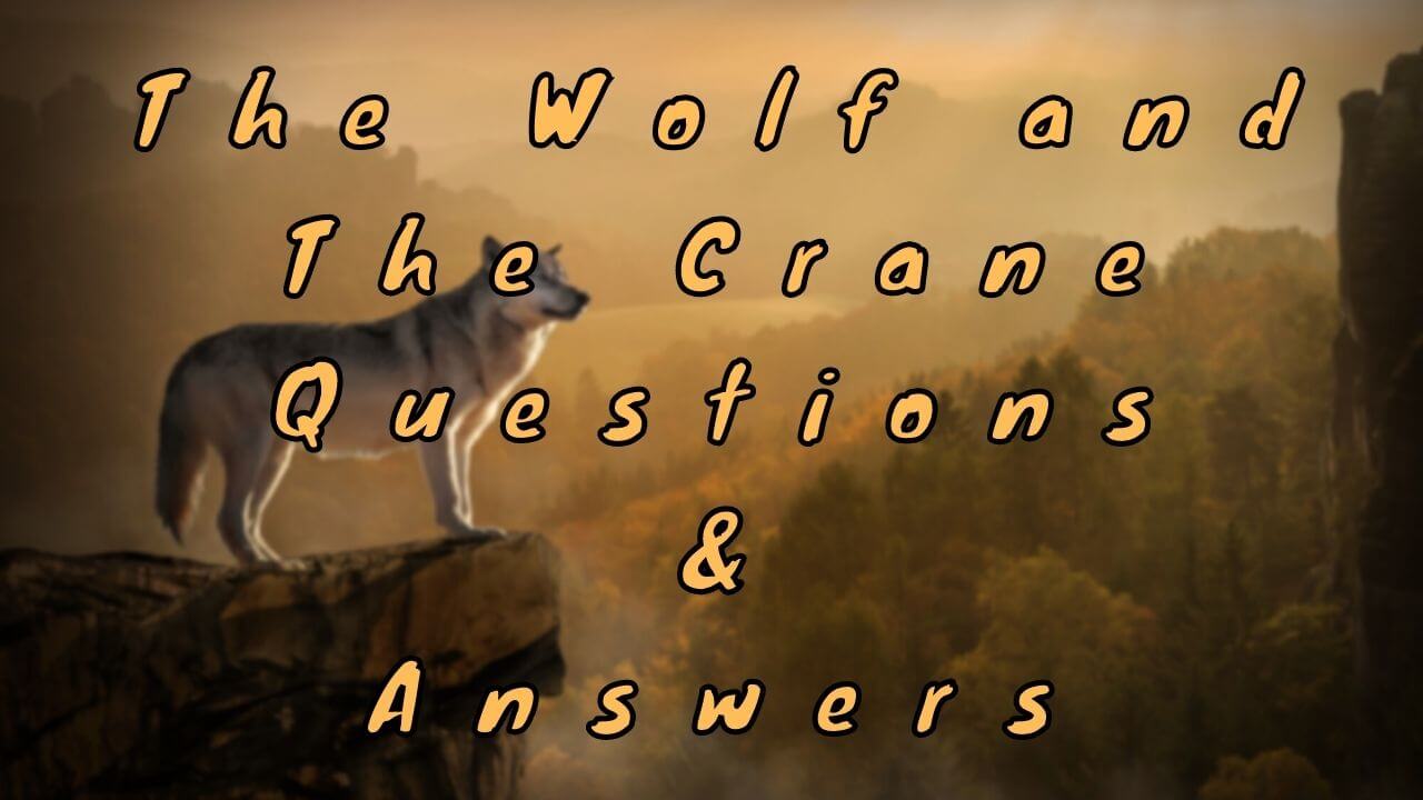 The Wolf and The Crane Questions & Answers