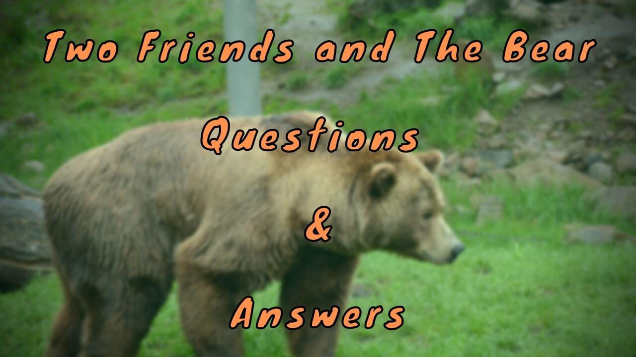 Two Friends and The Bear Questions & Answers