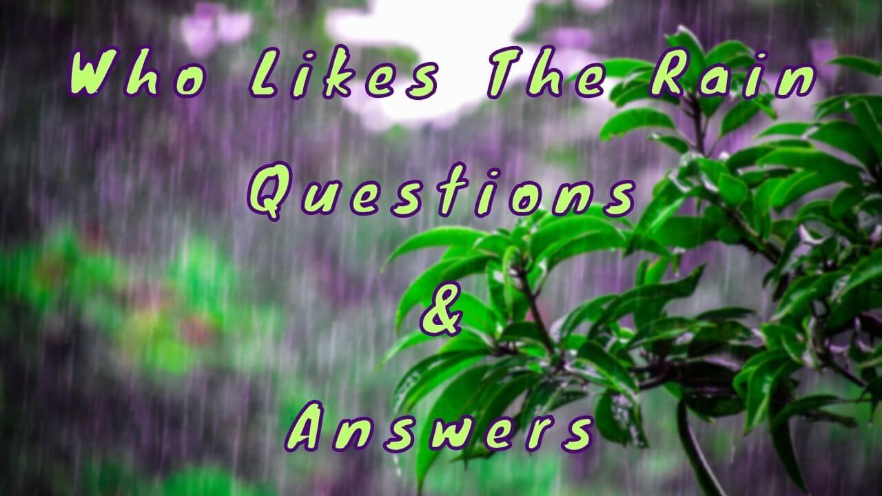 Who Likes The Rain Questions & Answers